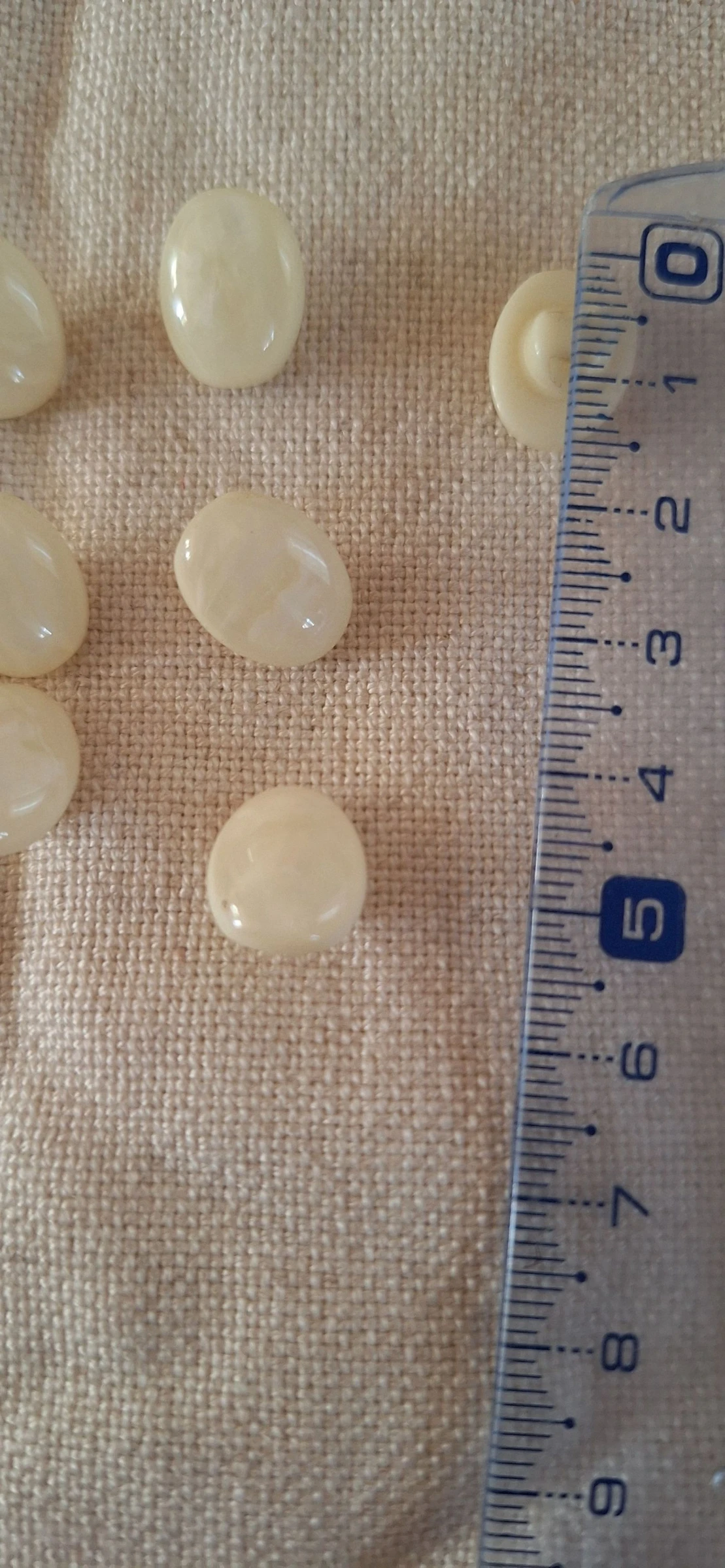 10 botones de 15 mm para coser en resina marfil – photo 2